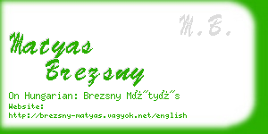 matyas brezsny business card